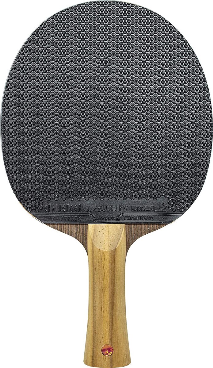 Challenger Attack: Close-up of Rubber on Blade